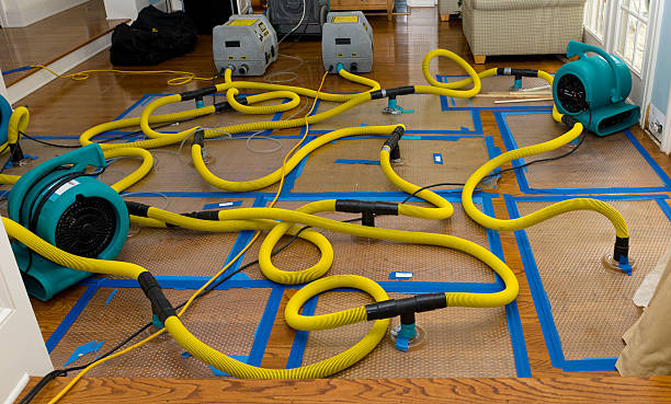 Professional Water Extraction technician working in Fayville, MA